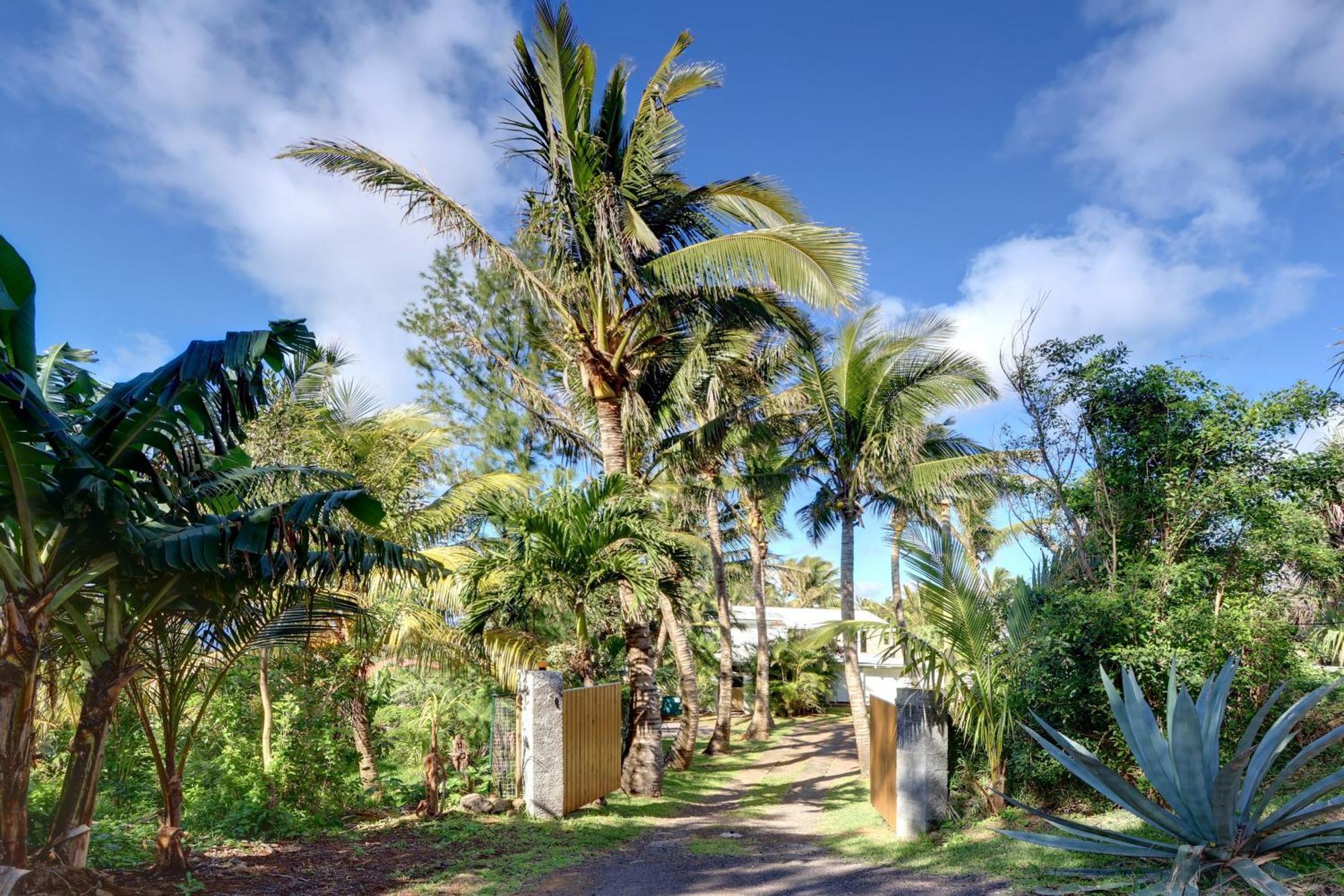 La Case Coco - Maison Climatisee A Saint-Joseph Exterior photo
